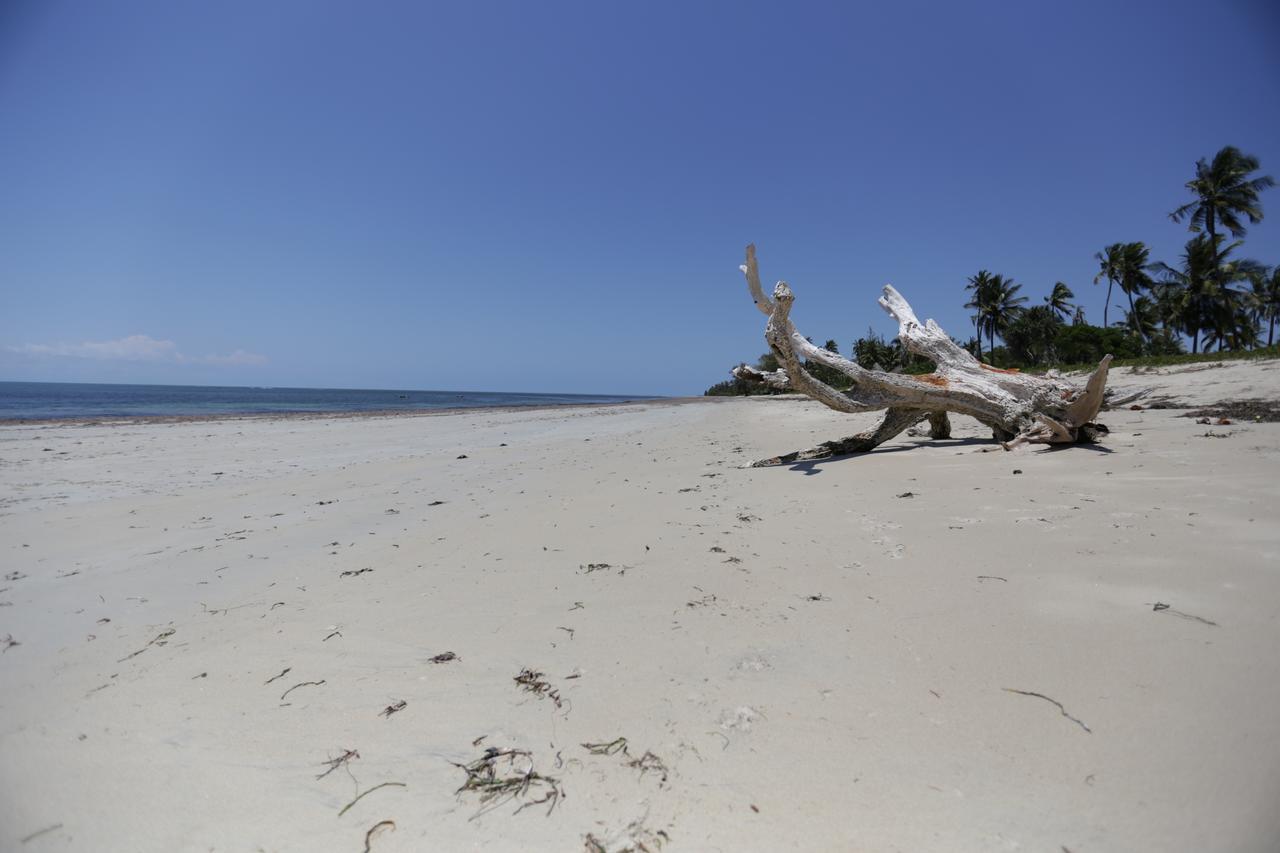 The Beach Crab Resort Pangani Exterior photo